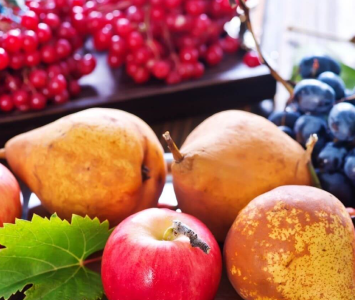 Health News Image Three